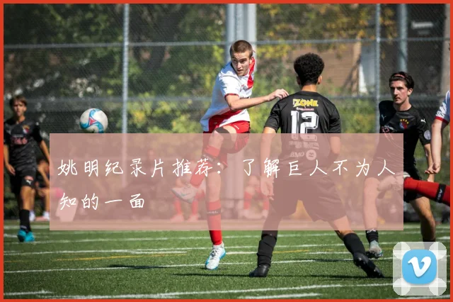 姚明纪录片推荐：了解巨人不为人知的一面
