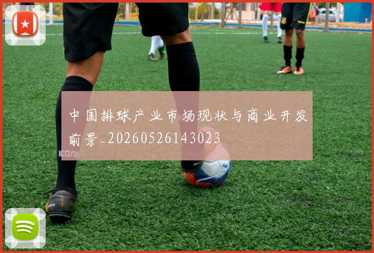 中国排球产业市场现状与商业开发前景_20260526143023
