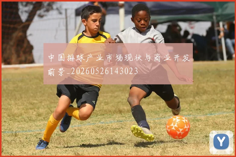 中国排球产业市场现状与商业开发前景_20260526143023